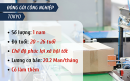 ĐƠN HÀNG SẢN XUẤT SẮT THÉP XÂY DỰNG TẠI ĐÀI BẮC