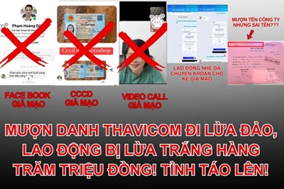 MƯỢN DANH THAVICOM ĐI LỪA ĐẢO, LAO ĐỘNG BỊ LỪA TRẮNG HÀNG TRĂM TRIỆU ĐỒNG! TỈNH TÁO LÊN!