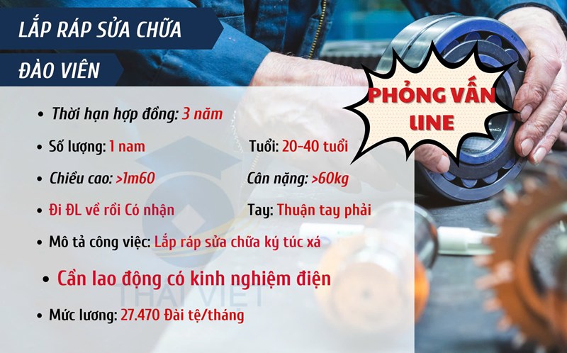 HOT - ĐƠN HÀNG LẮP RÁP SỬA CHỮA TẠI ĐÀO VIÊN